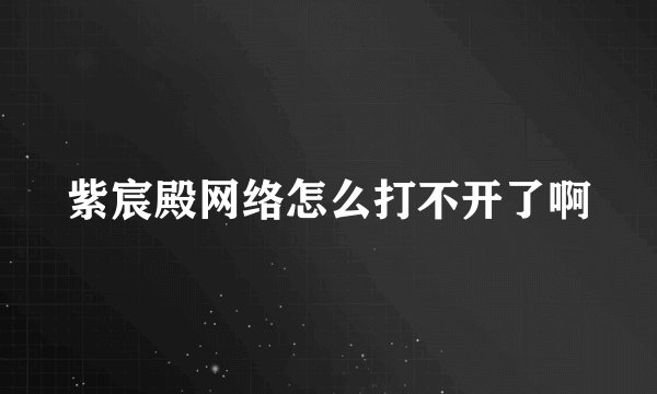 紫宸殿网络怎么打不开了啊