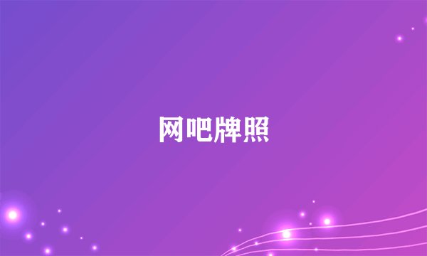 网吧牌照